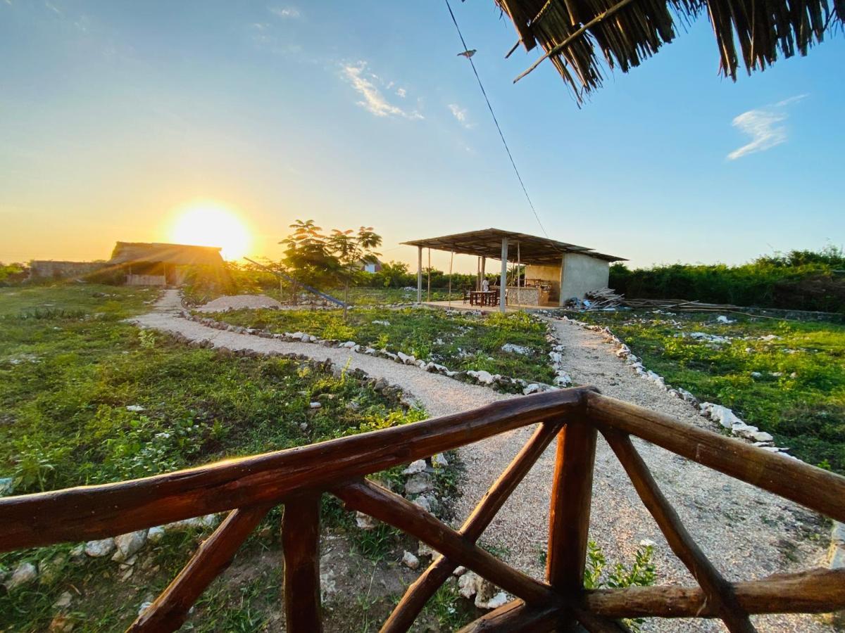 Habibis Bottle House Bed & Breakfast Nungwi Exterior photo