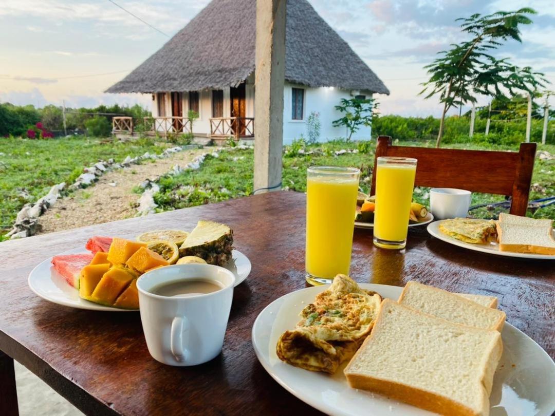 Habibis Bottle House Bed & Breakfast Nungwi Exterior photo