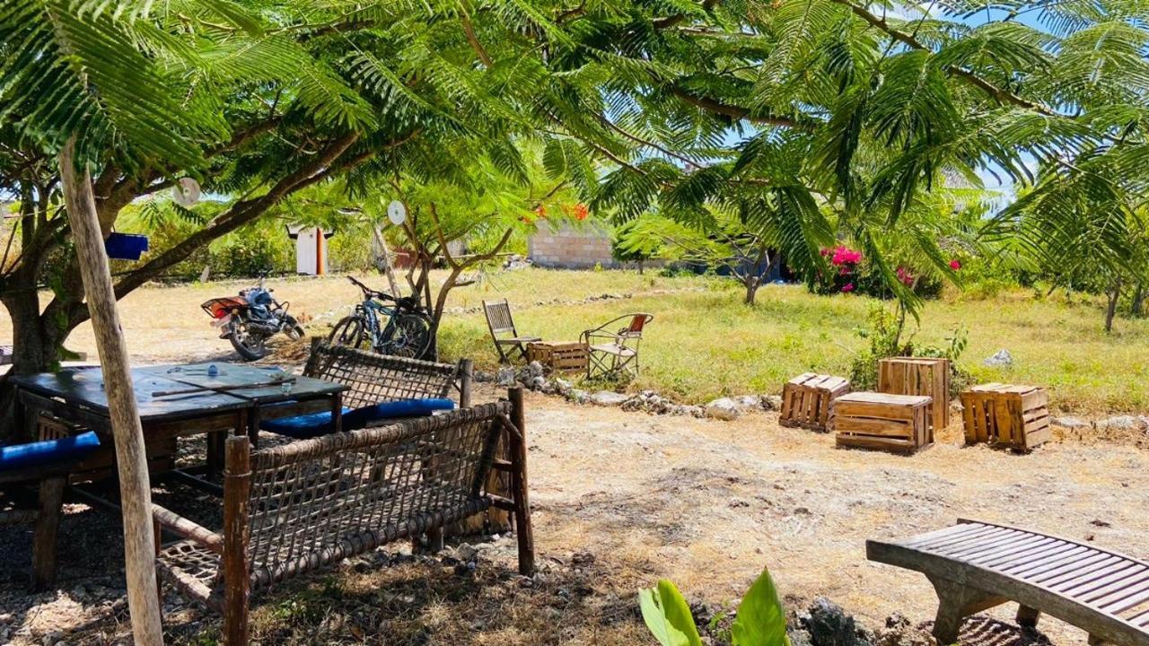 Habibis Bottle House Bed & Breakfast Nungwi Exterior photo